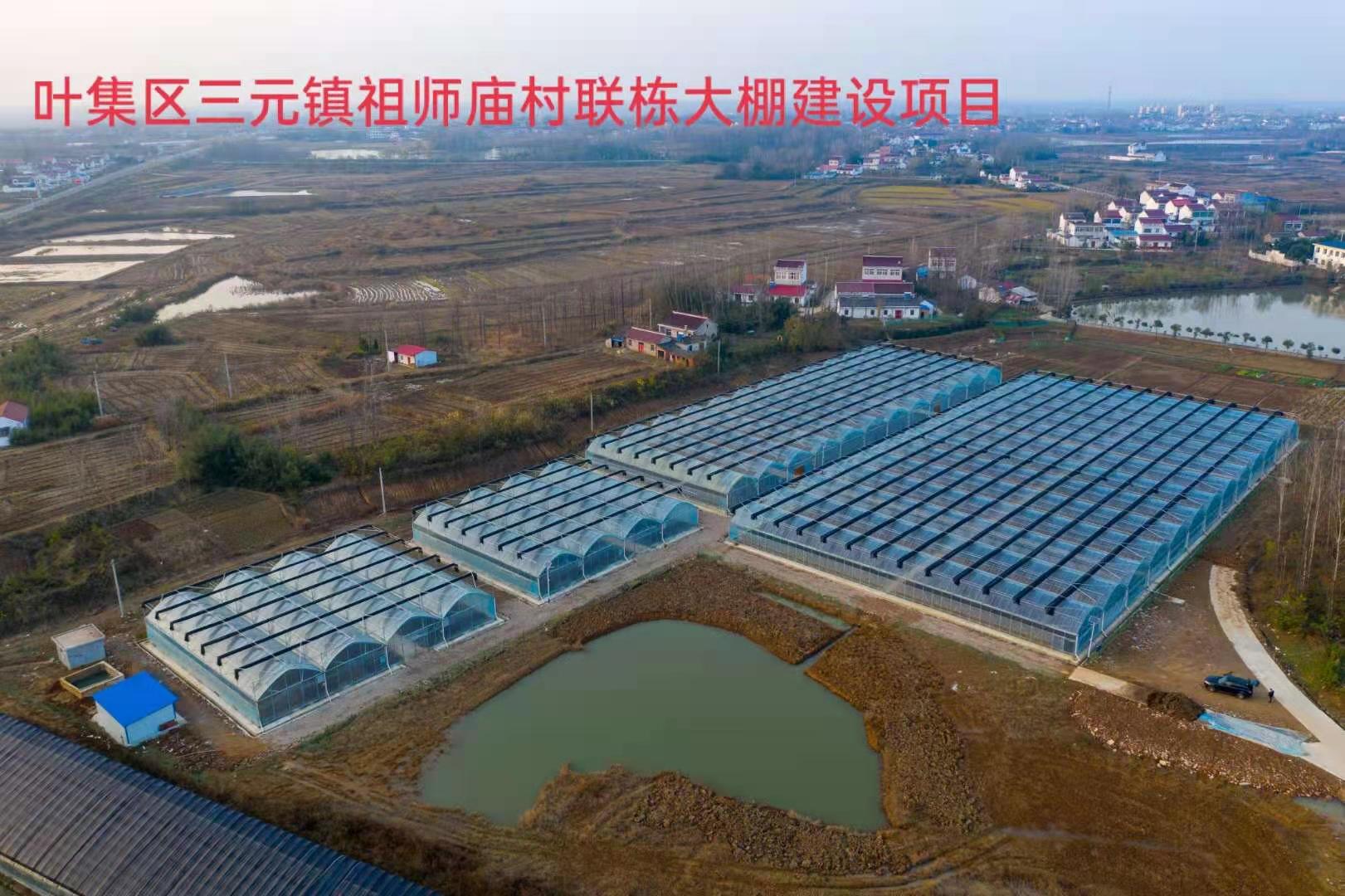 葉集區三元鎮祖師廟村聯棟大棚建設項目